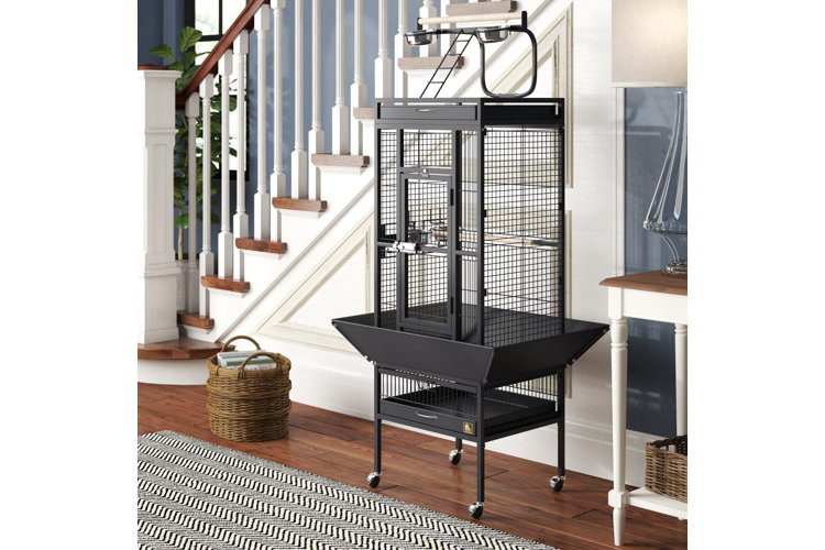 Best bird outlet carrier